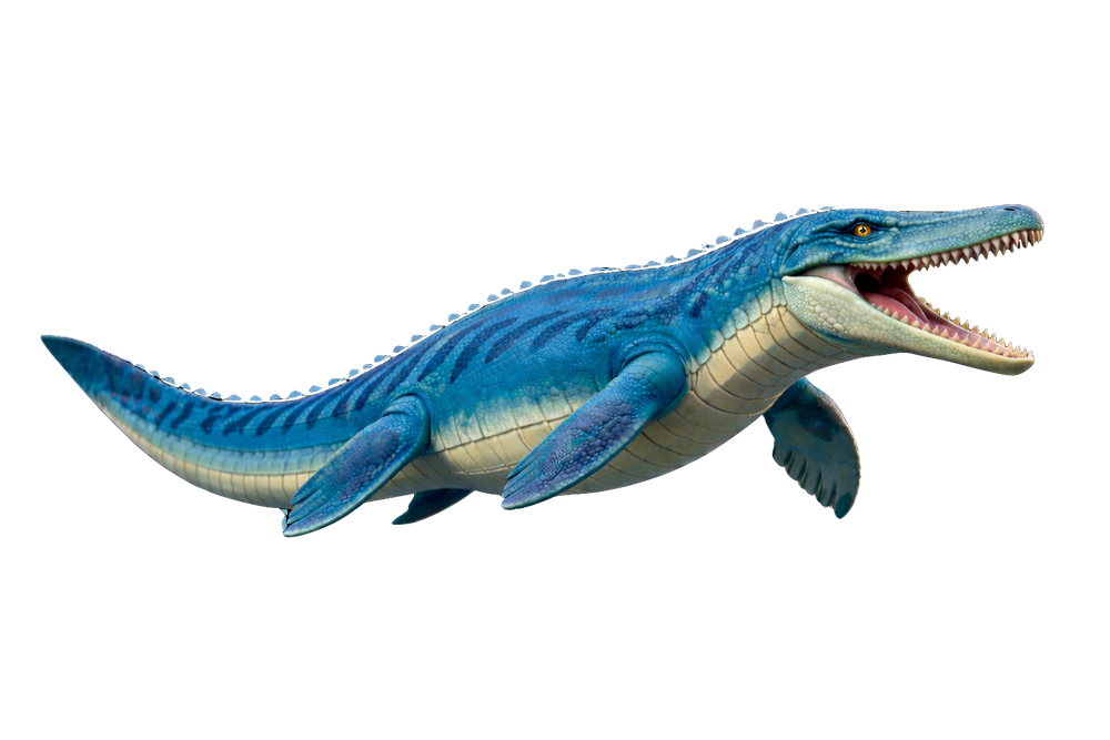 Main Featured Dinosaur